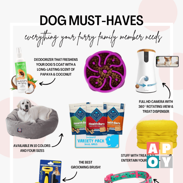The Ultimate Guide to the Best Dog Must-Haves: Essentials for Every Pet Parent