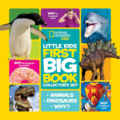 first big book of animals dinosaurs and why
