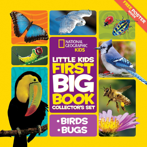 first big book of birds and bugs