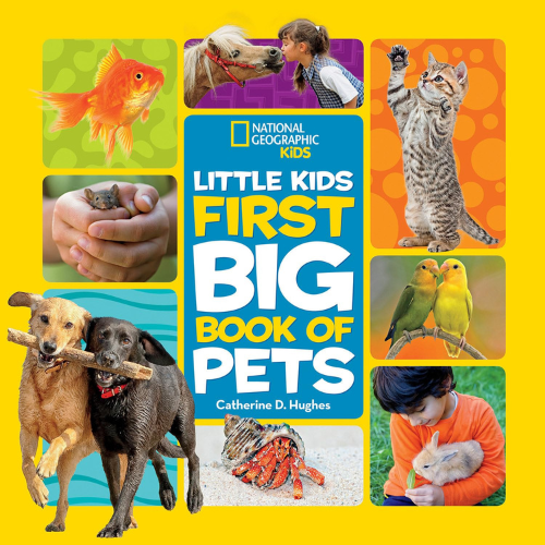 first big book of pets