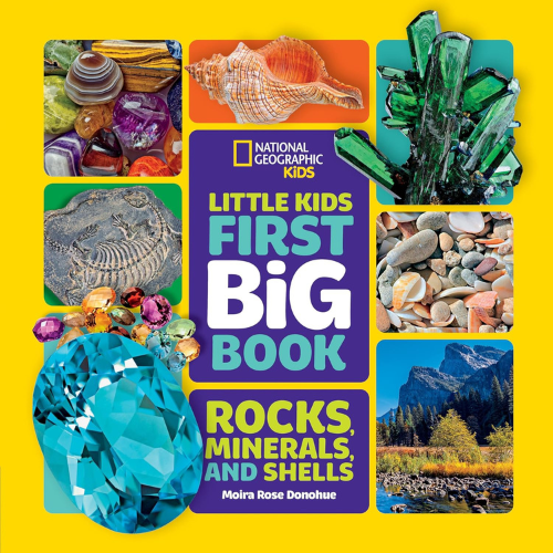 first big book of rocks minerals and shells