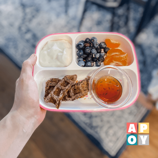 hand holding childrens breakfast plate with blueberry waffles yogurt and fruit