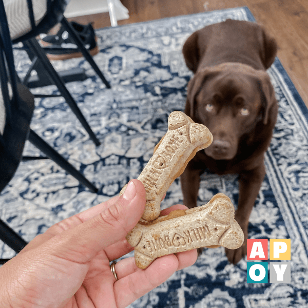 Fun Activities and Tasty Treats for Your Dog: Keeping Your Furry Friend Happy